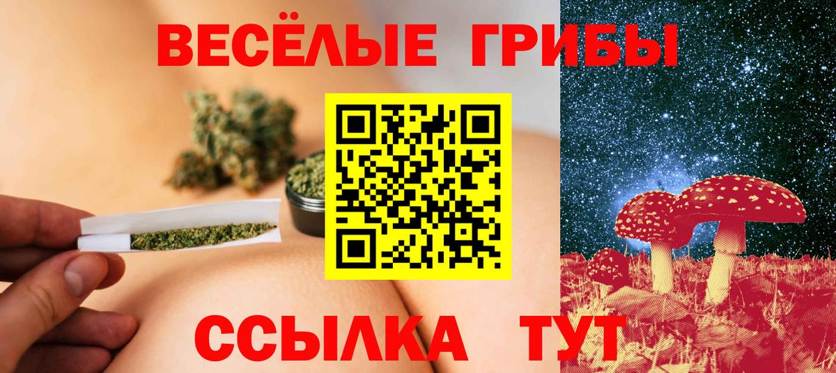 Кингисепп  Галлюциногенные грибы Magic Shrooms  Вход с VPN  где найти наркотики  Галлюциногенные грибы мицелий 
